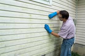 Affordable Siding Repair and Maintenance Services in Oriskany, NY